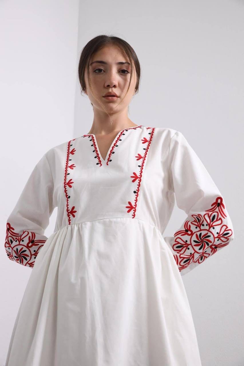 Dress with Red Embroidery | Women’s Vyshyvanka Goya Concept