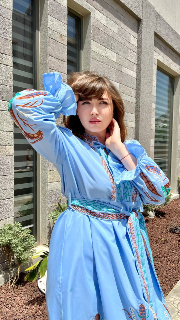 Serena Richelieu Blue Poplin Midi – Embroidered Dress